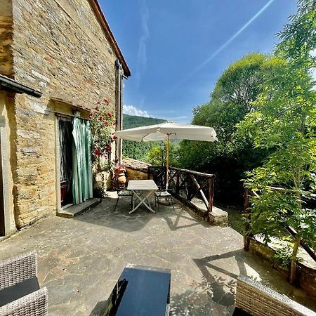 Il Colle - Apartment Gelso San Godenzo Eksteriør billede